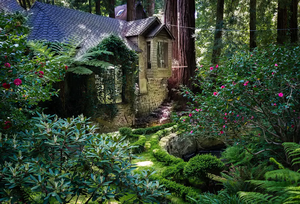 Shingled house among redwood trees in Cascade Canyon, Mill Valley